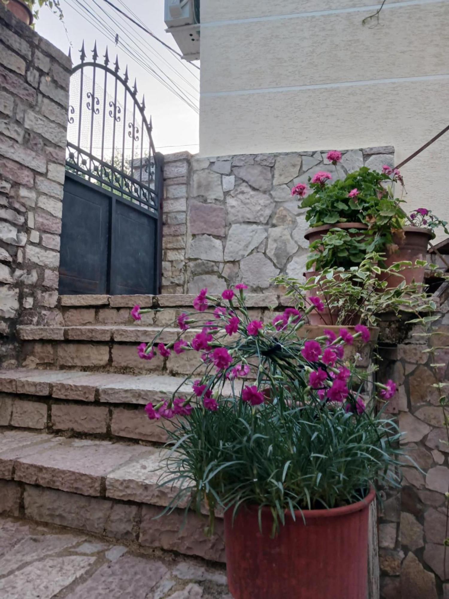 Eniguesthouse จีโรคาสเตอร์ ภายนอก รูปภาพ